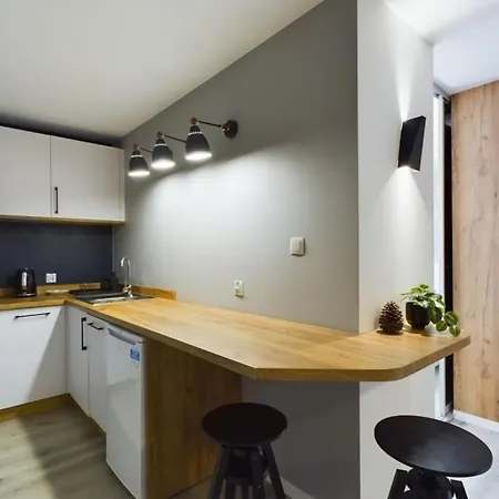 Dabrowka Komfort - W Parku Lesnym , Sauna,grill *