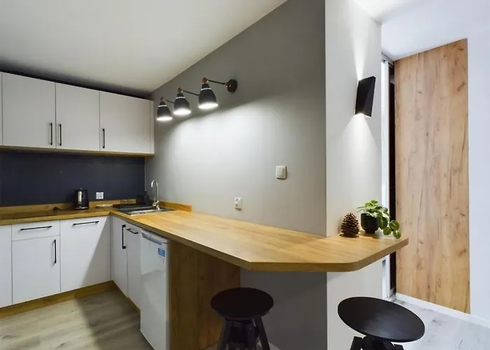 Dabrowka Komfort - W Parku Lesnym , Sauna,grill *