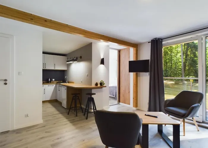 Dabrowka Komfort - W Parku Lesnym , Sauna,grill