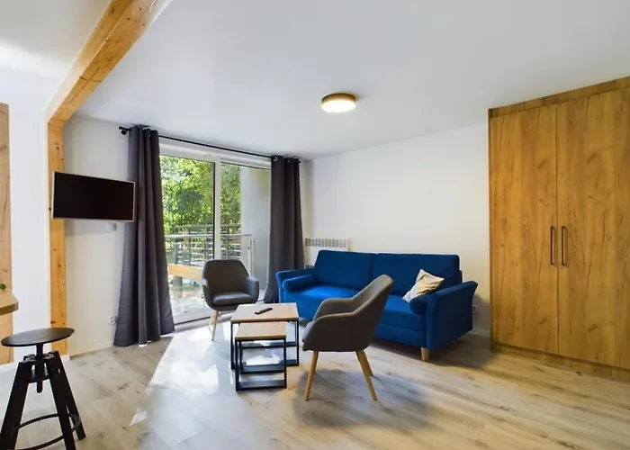 Апартаменты Dabrowka Komfort - W Parku Lesnym , Sauna,grill