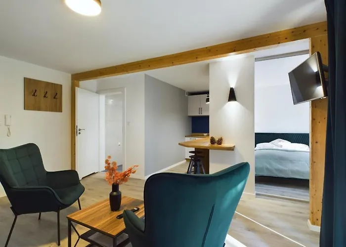 Апартаменты Dabrowka Komfort - W Parku Lesnym , Sauna,grill *